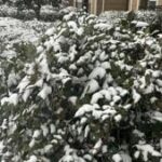 Nearly 1M without power as massive winter storm rages