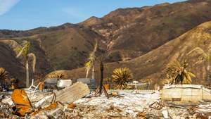 Malibu continues to rebuild one year after Palisades Fire