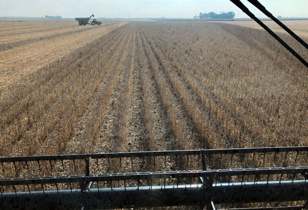 Illinois soybean farmers welcome federal aid, but fear long-term trade damage