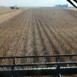 Illinois soybean farmers welcome federal aid, but fear long-term trade damage