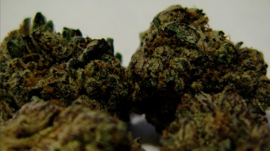 Even though marijuana is legal in Illinois, clearing old criminal records still a challenge